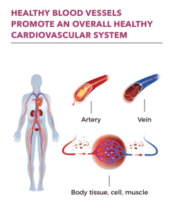 heart health