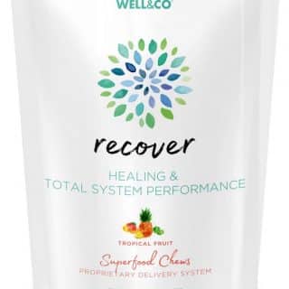 Recover 60 Superfood Chews