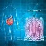 health benefits of fulvic acid for nutrient absorption